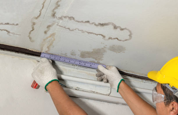 Reliable Mold Remediation contractor in Cleveland, NC by Local Water Damage Repair